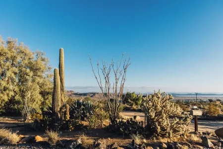 5 Miles from Park entrance Charming 2-bedroom house in enchanting Joshua Tree