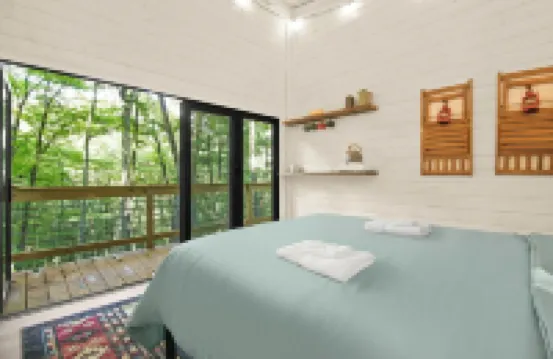 Blue Ridge Parkway / Off-Grid Cabin / Glamping / Turkey Hop Cabin