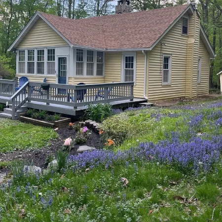 The Boro Bungalow