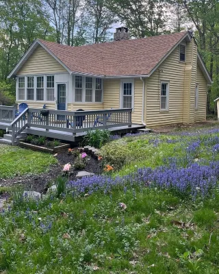 The Boro Bungalow