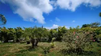 Club Vieques