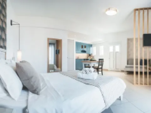 Zeus Village Resort - Adults Only Hotels in Daratso