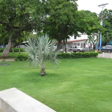 The Palms at Coco Beach