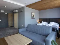 Hotel Beskid Balneo Medical Resort & Spa Hotels in Nowosadecki