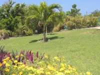 Gîtes Hotel Couleur Caraibes Các khách sạn ở Vieux-Habitants