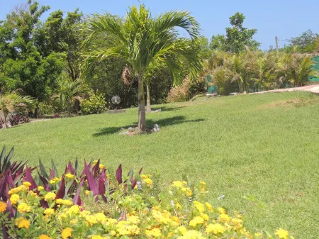 Gîtes Hotel Couleur Caraibes