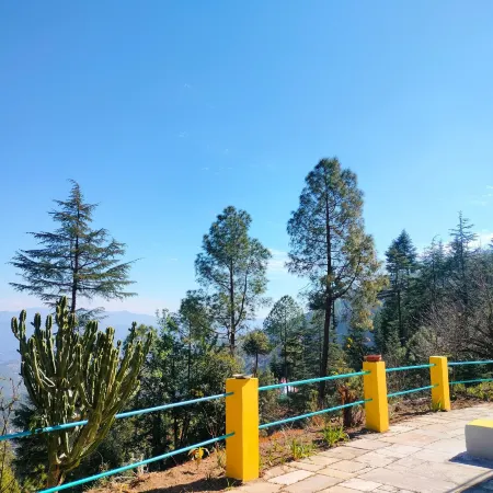 The Alpine Vista