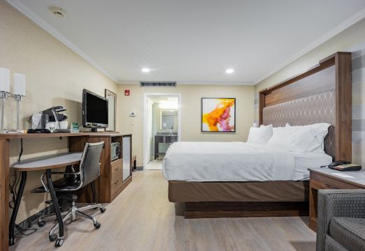 2. 홀리데이 인 플..