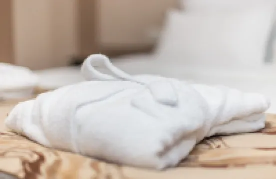 阿塔肯特公園貝斯特韋斯特優質酒店