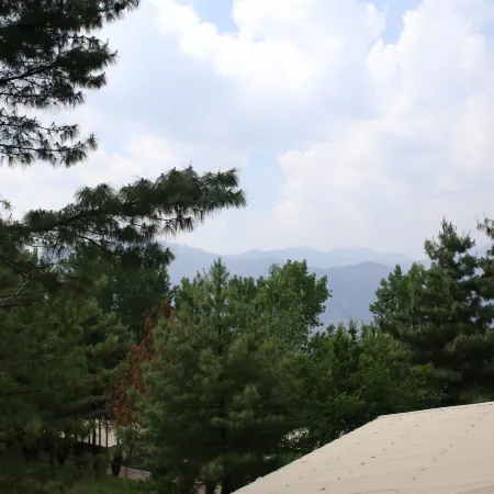 Chinar Family Resort