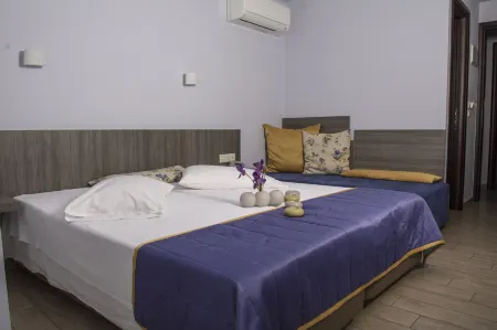 Hotel Olympos Отели в г. Платамон