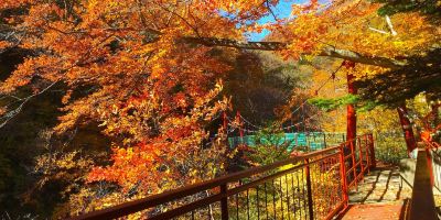 ホテル周辺 日光国立公園 川俣温泉 蔵の写真