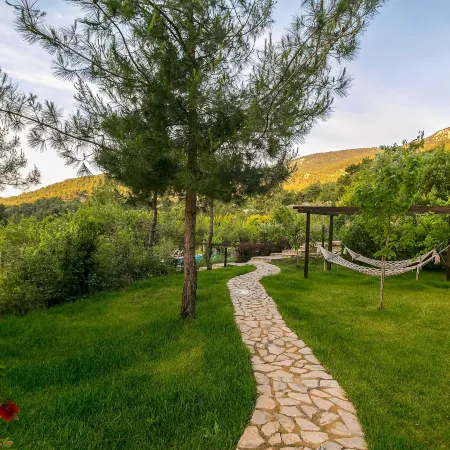 Olympos Mountain Lodge