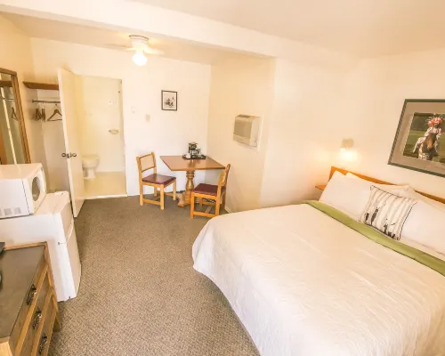 Mountain Springs Motel Hotels in Radium Hot Springs