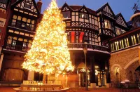 METEOR SHOWER Hotels in Sapporo