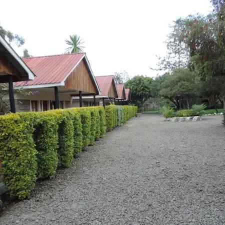 Lions Court Lodge