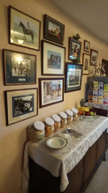 Stafford House Guest House