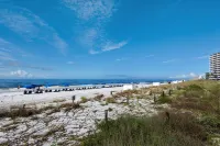 Hidden Dunes 304