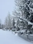 Sweetwater Cabin - private backyard, hot tub, bunk room & views of Bear Lake