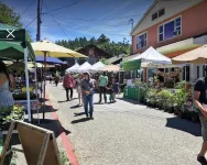 Mary's Place is a historic cottage with private garden in the center of town.