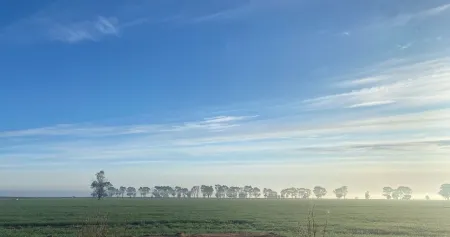 Wings Field - peaceful family farm stayFarm stay in Tocumwal, Australia Отели в г. Токумвал