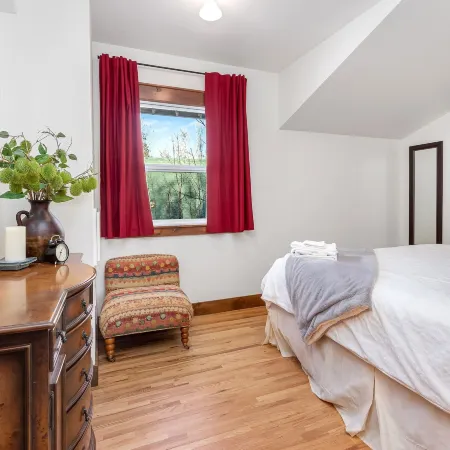 The Beautiful Bear’s Den! Walk to Old Town & Csu!