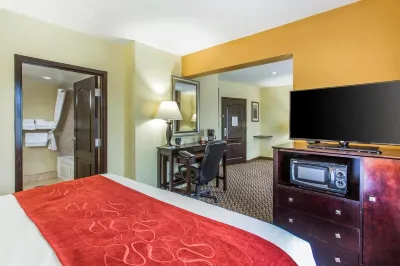 Comfort Suites Clinton Near Presbyterian College Hotel in zona Presbyterian College