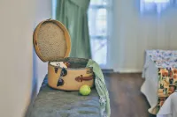 阿拉卡提索夫飯店