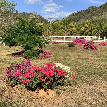 Casa Caletas Boutique Hotel