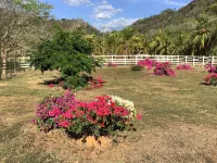 Casa Caletas Boutique Hotel Hotels in 