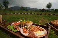 The Solace Bir Hotels in Mandi