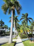 Miabella of Hollywood 3 Bedroom Home by RedAwning