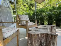 아마즈 에코 로지