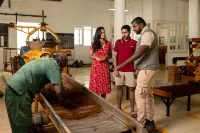 Tea and Experience Factory - Thema Collection Hotels in Nuwara Eliya District