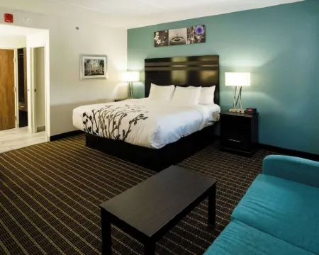 スリープ イン & スイーツ ノックスビル ウエスト ファラガットのホテル