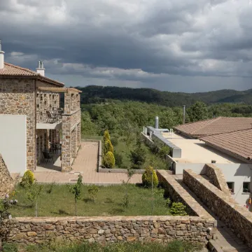 Foresta in Medias Mores