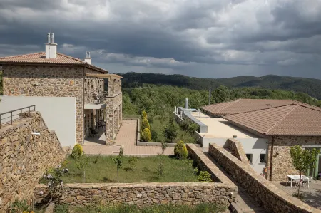 Foresta in Medias Mores