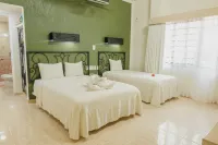 Maya Tulipanes Express