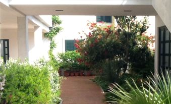 Villa Tamaris on the Beach