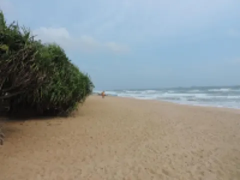 Sea View Beach Hotel Hotels in Nilaveli