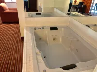 Econo Lodge Inn & Suites - Badekar