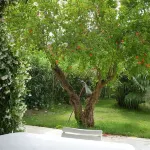 Welcomely - Natural Garden Các khách sạn ở Marinella