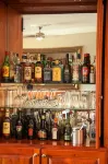 Leopardsong Manor - bar