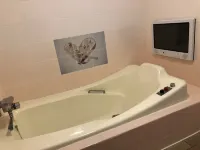 Hotel Galaxy