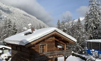 Hôtel Labrador Chamonix