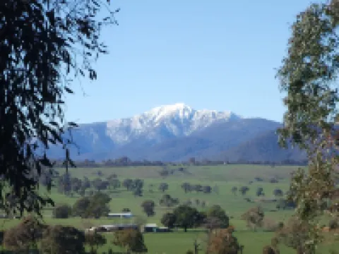 梅里吉格德雷泰特公寓酒店 曼斯菲爾德酒店