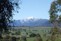 Delatite Apartments Merrijig