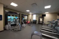 Hampton Inn by Hilton Sydney - Gym
