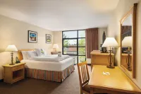 Staypineapple, University Inn, University District Seattle