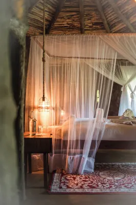 Mtoni river lodge Hotels in 